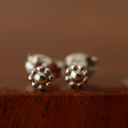 Daisy Studs